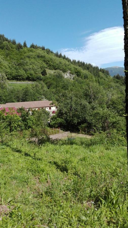 Agriturismo Rio Ricco Busana Bagian luar foto