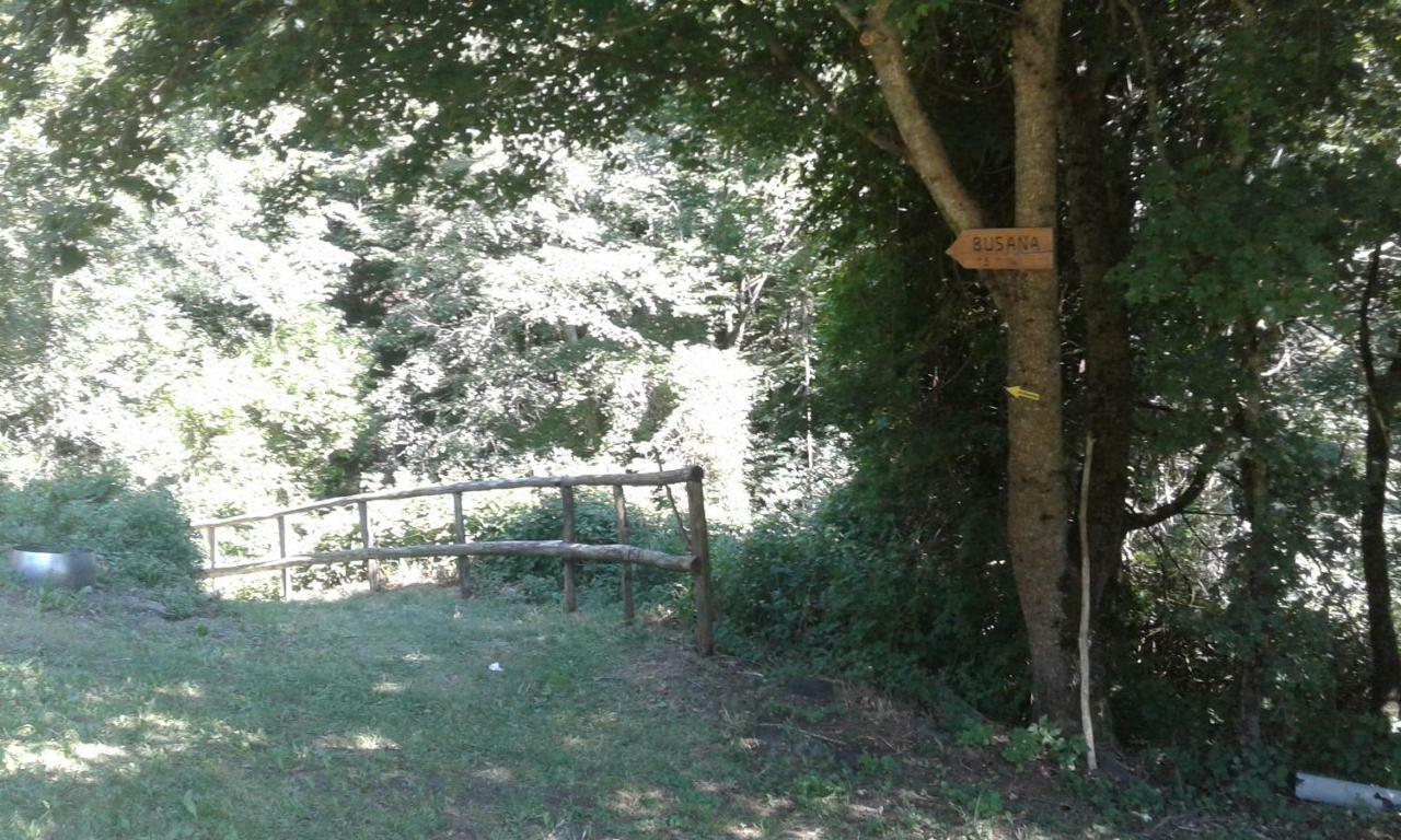 Agriturismo Rio Ricco Busana Bagian luar foto