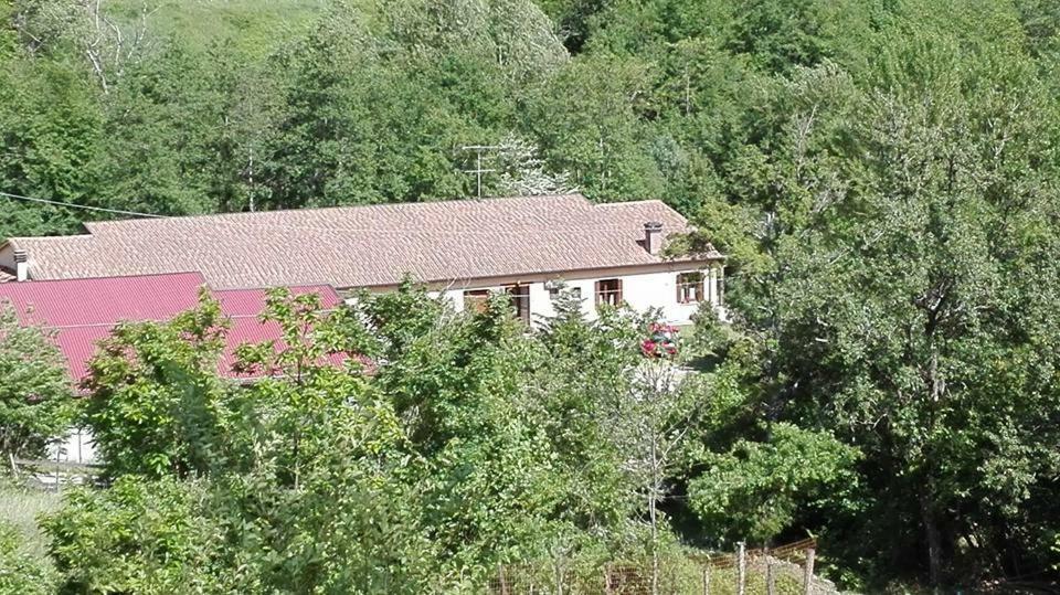 Agriturismo Rio Ricco Busana Bagian luar foto